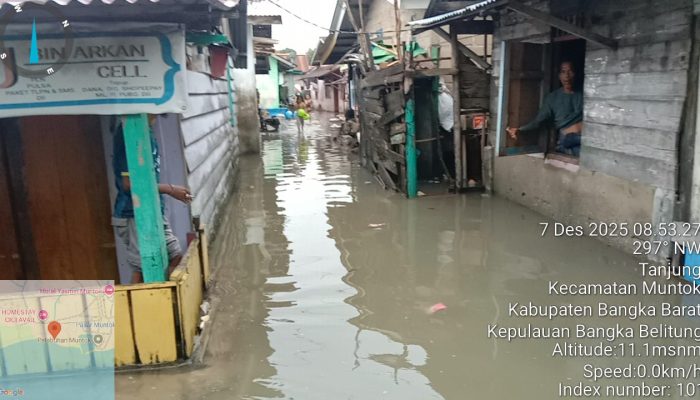 Kampung Tanjung Dikepung Air: Alarm Keras Degradasi Ekologis Pesisir Bangka Barat