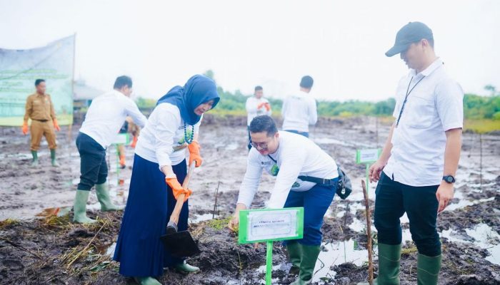 Dukung Transisi Energi Bersih, PLN Babel Tanam 10 Ribu Bibit Kaliandra di Belitung Timur