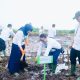 Dukung Transisi Energi Bersih, PLN Babel Tanam 10 Ribu Bibit Kaliandra di Belitung Timur