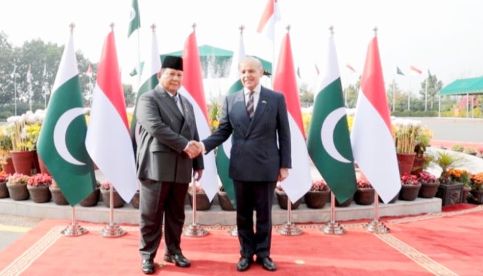 Prabowo–Sharif Sepakat Perkuat Diplomasi Gaza dan Kerja Sama Strategis RI–Pakistan