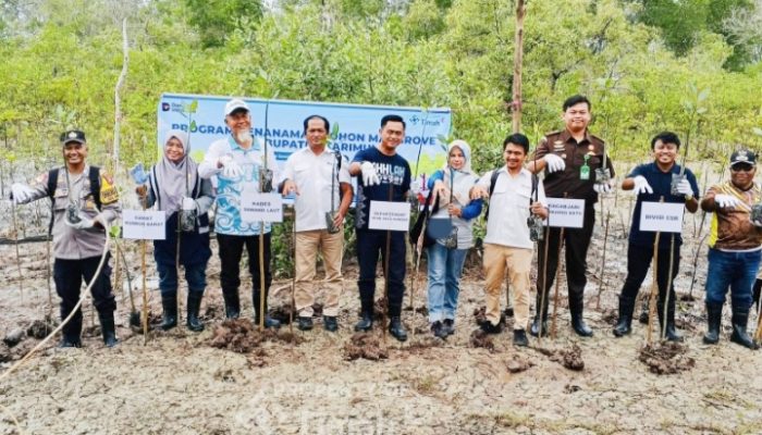 PT Timah Tanam 5.000 Mangrove di Pantai Kobel Kundur