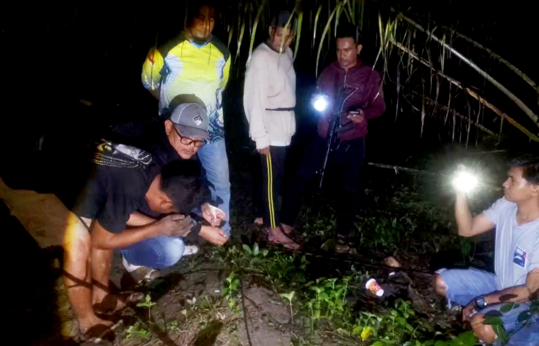 Diduga Jaringan Sabu dari Lapas, Putra Dibekuk Polsek Lepar Pongok di Kebun Sawit