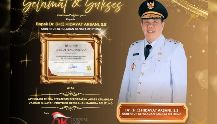 Dukung Percepatan Akses Keuangan Daerah, Gubernur Babel Hidayat Arsani Terima Apresiasi OJK
