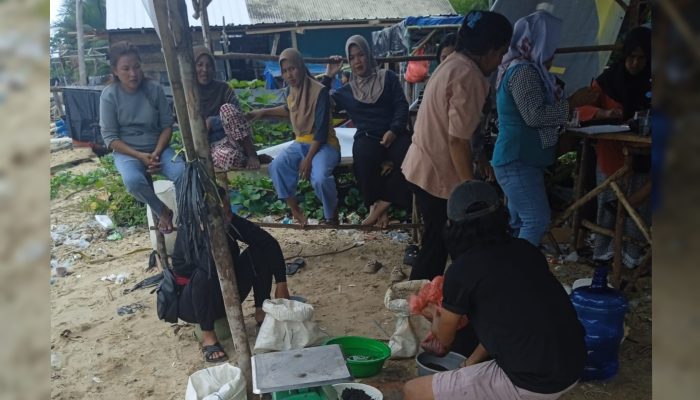 Tambang Rakyat Berbasis Koperasi Hidupkan Ekonomi Warga Pesisir Mentok