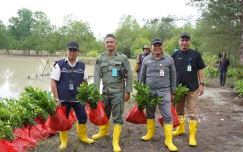 Lewat Program TJSL, PT Timah Tbk Tanam Belasan Ribu Mangrove di Kundur dan Meranti