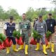 Lewat Program TJSL, PT Timah Tbk Tanam Belasan Ribu Mangrove di Kundur dan Meranti