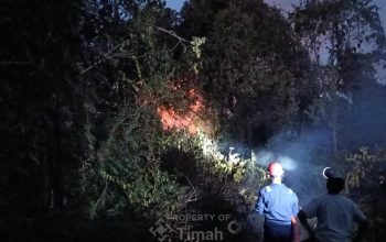 Kebakaran Lahan di Kundur Barat, Tim Damkar PT Timah Gercep Bantu Warga Jinakkan Api