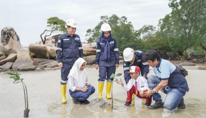 PT Timah Libatkan Siswa Tanam Mangrove di Pesisir Bangka