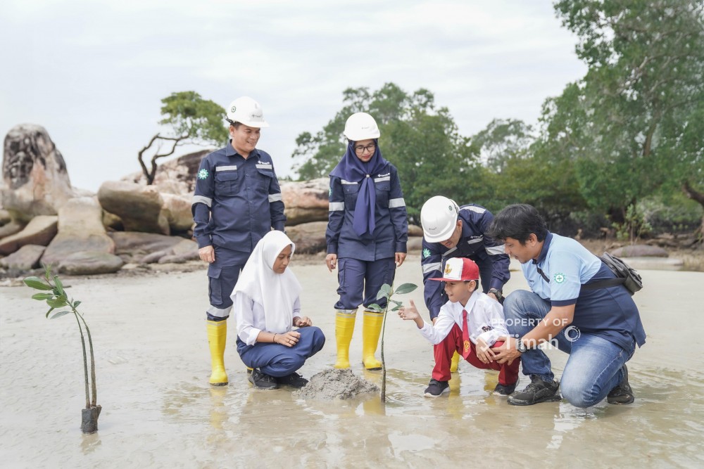 PT Timah Libatkan Siswa Tanam Mangrove di Pesisir Bangka