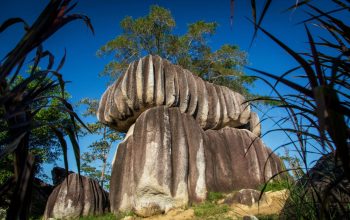 Sambut HPN & HUT Basel, PWI Gelar Basel Run 2026, Rute Lintasi Objek Wisata dan Hadiah Puluhan Juta