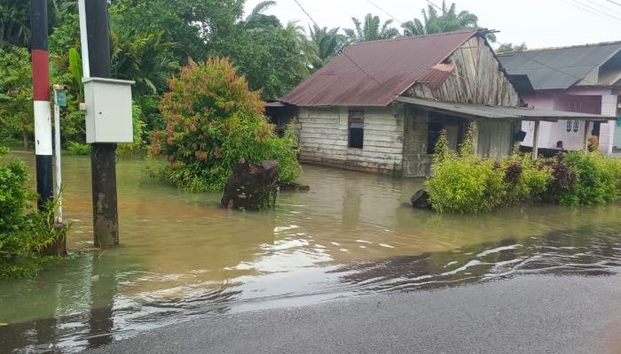 Banjir Rob Setinggi 50 Cm Kembali Terjang Desa Belo Laut