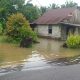 Banjir Rob Setinggi 50 Cm Kembali Terjang Desa Belo Laut