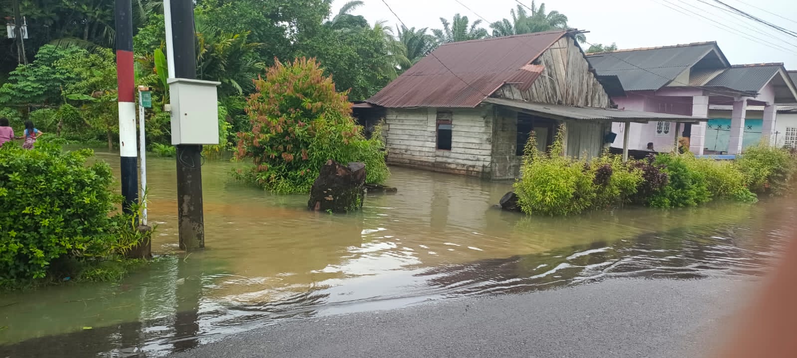 Banjir Rob Setinggi 50 Cm Kembali Terjang Desa Belo Laut