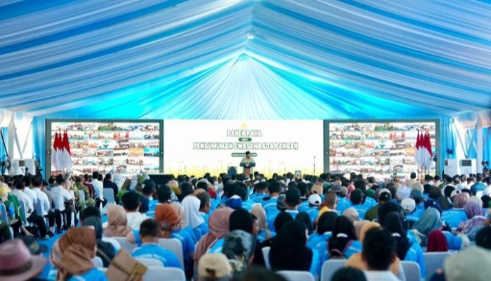 Cek Panen Raya di Karawang, Petani Antusias Bertemu Prabowo