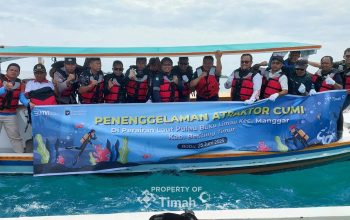PT Timah Perkuat Ekosistem Laut, 36 Atraktor Cumi Ditenggelamkan di Belitung Timur