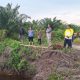 Asen Sungailiat Disebut Pemilik Sawit di Lahan Sawah LP2P Limus, Rina Tarol Minta APH Sikat Mafia Tanah