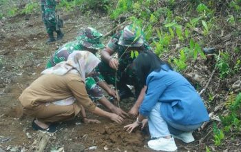 Hijaukan Pulau Lepar, TNI dan Warga Desa Penutuk Kompak Tanam 300 Pohon