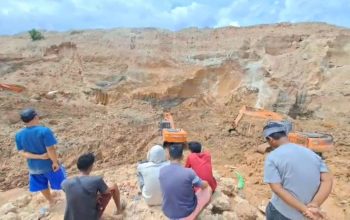 PT Timah Tegaskan Tak Ada Keterkaitan dengan Tambang Pemali yang Longsor