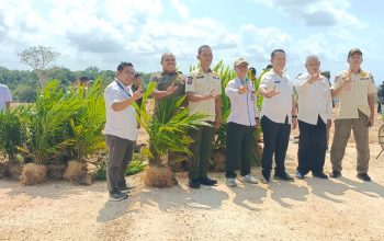 Sawit dalam Kawasan Hutan Bangka Barat Jadi Sorotan, KPHP Rambat Menduyung Dorong Skema Legal