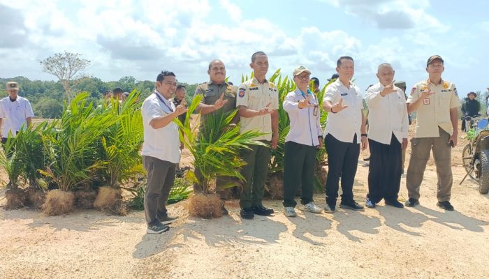 Sawit dalam Kawasan Hutan Bangka Barat Jadi Sorotan, KPHP Rambat Menduyung Dorong Skema Legal