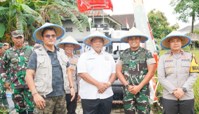 Forkopimda Kota Cilegon Panen Raya Bersama Poktan Adem Ayem, Wujud Nyata Dukung Swasembada Pangan