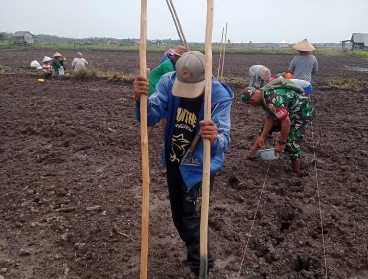 Kolaborasi TNI dan Warga di Pulau Lepar, Lahan Tidur Disulap Jadi Kebun Jagung