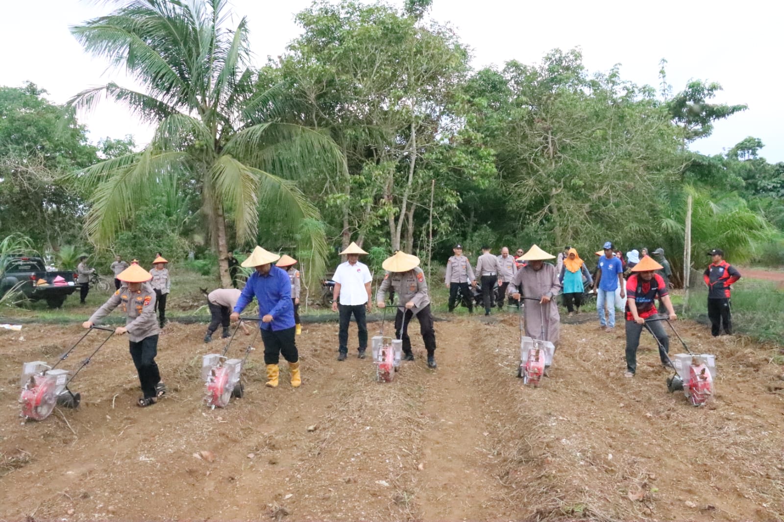 Dukung Program Swasembada Pangan, Polres Bangka Selatan Tanam Jagung Serentak di Desa Rindik