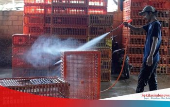 Perkuat Ekonomi Kerakyatan, PT Timah Siapkan Program UMKM dari Modal hingga Pasar