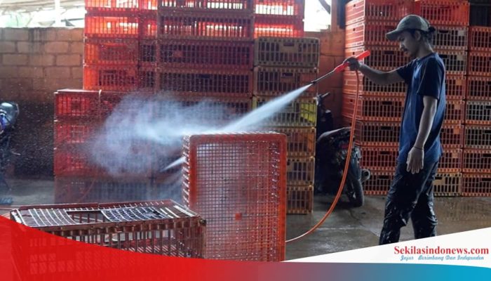 Perkuat Ekonomi Kerakyatan, PT Timah Siapkan Program UMKM dari Modal hingga Pasar