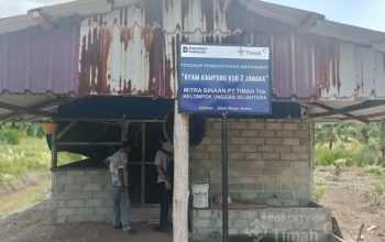 PT Timah Perkuat Ekonomi Lokal Lewat Peternakan Ayam Kampung di Kabupaten Karimun 