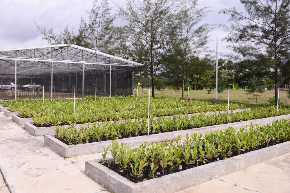 PT Timah Reklamasi 354 Hektar Lahan Bekas Tambang di Bangka Belitung