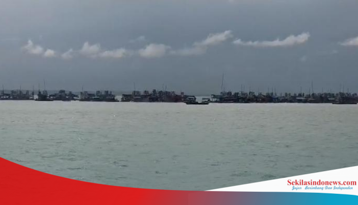 Rencana Tambang Ilegal di Tanjung Bunga ‘Jual’ nama sejumlah Pejabat 