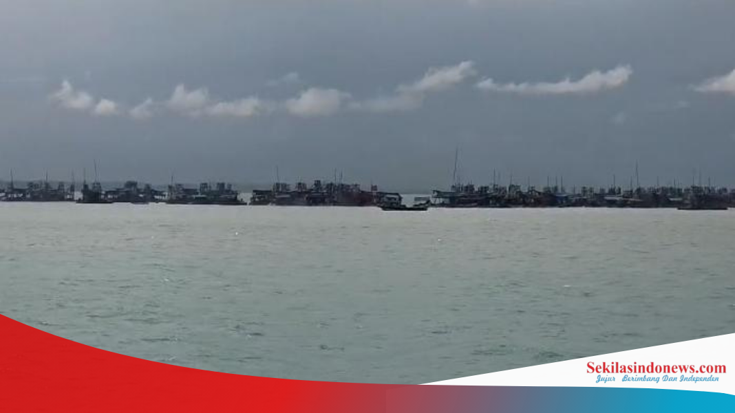 Rencana Tambang Ilegal di Tanjung Bunga 'Jual' nama sejumlah Pejabat 