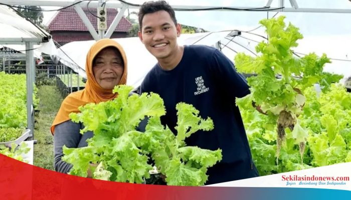 Dari Modal Rp2 Juta, Zizi Alqoorni Bangun Usaha Sayur, Kini Raup Omzet Ratusan Juta