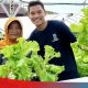 Dari Modal Rp2 Juta, Zizi Alqoorni Bangun Usaha Sayur, Kini Raup Omzet Ratusan Juta