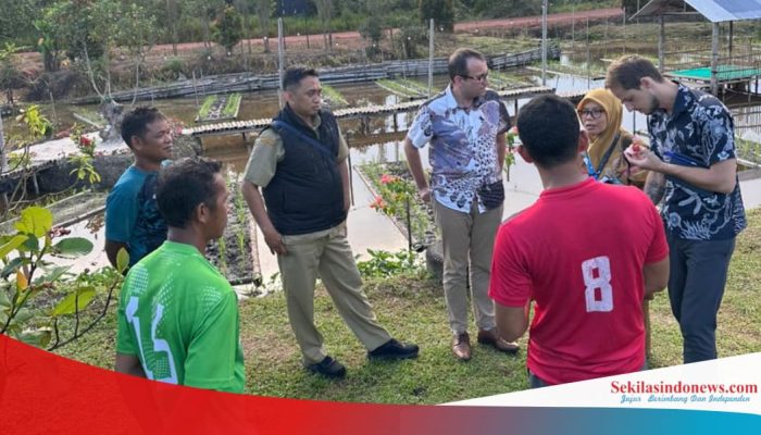 Bappeda Babel Siapkan Dendang Jadi Model Nasional Pemulihan Lahan Eks Tambang