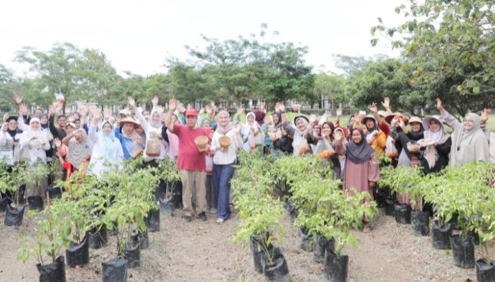 Gubernur Ajak masyarakat manfaatkan pekarangan untuk produksi cabai mandiri berkelanjutan