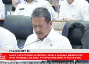 Ekspor Produk Perikanan RI Meroket, Capai 6,27 Miliar Dolar AS Tahun 2025