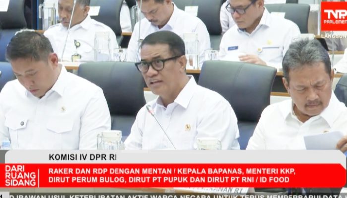 Pemerintah: Ketersediaan Jagung, Gula, hingga Telur Ayam Diproyeksikan Surplus Jelang El Nino “Godzilla”