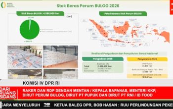Pemerintah: Cadangan Beras Sentuh Level Tertinggi Hari Ini, Siap Hadapi El Nino