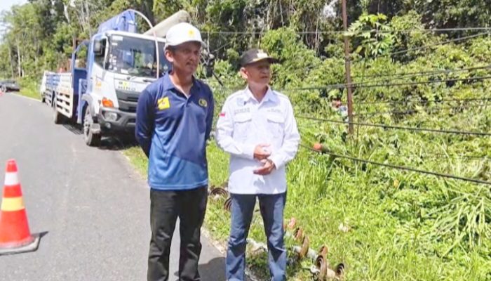 PLN bergerak cepat pulihkan jaringan usai tiang listrik roboh akibat cuaca ekstrem