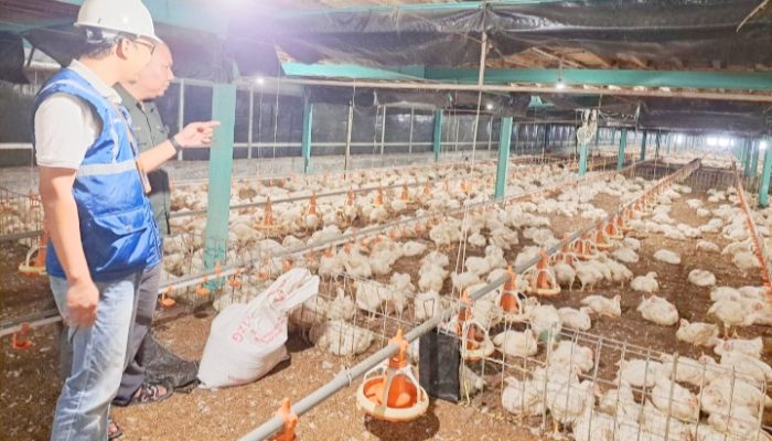 PLN pastikan pasokan listrik andal meski tarif tetap April Juni 2026