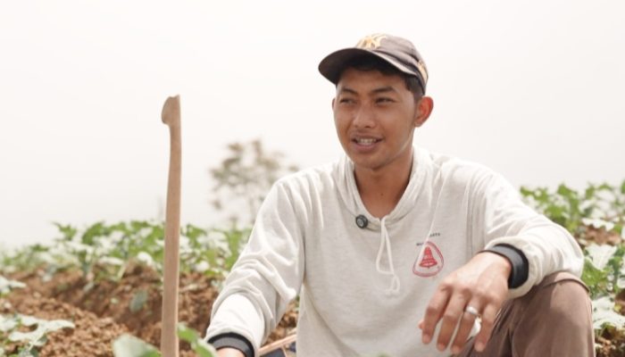 Petani Sayur di Boyolali Tersenyum Berkat MBG, Harga Naik dan Permintaan Meningkat