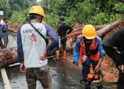 PLN bergerak cepat pulihkan listrik Babel terdampak cuaca ekstrem hari ini