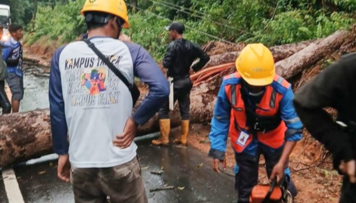 PLN bergerak cepat pulihkan listrik Babel terdampak cuaca ekstrem hari ini