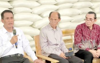 Simak! Bukti Kebijakan Pemerintah di Balik Swasembada dan Peningkatan Kesejahteraan Petani