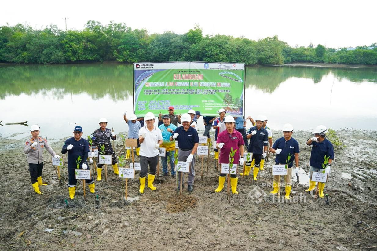 Bersama Pemkab Bangka, PT Timah Tanam Pohon di Kolong AKHLAK Air Kantung