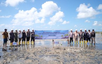 PT Timah dan Masyarakat Bergerak Jaga Alam Lewat Penanaman Mangrove di Pantai Mudong