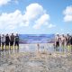 PT Timah dan Masyarakat Bergerak Jaga Alam Lewat Penanaman Mangrove di Pantai Mudong