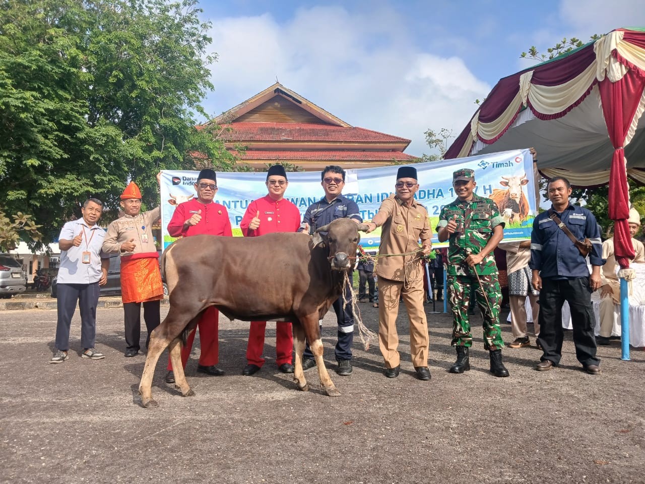 Momentum Iduladha dan HUT Bangka Barat, PT Timah Salurkan 39 Ekor Sapi Kurban